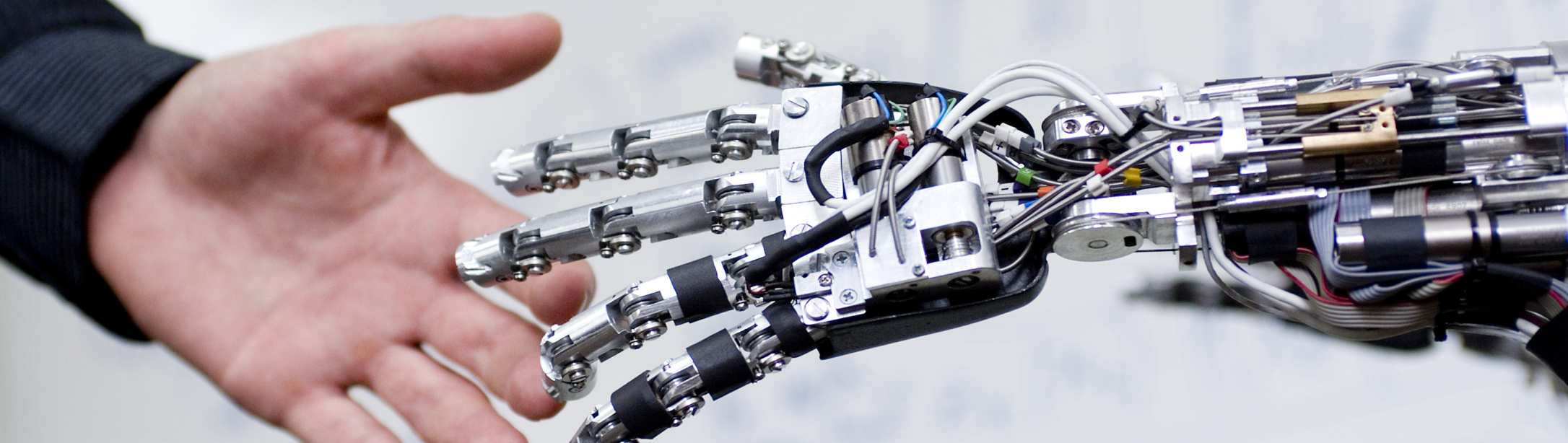 Robotic Hand